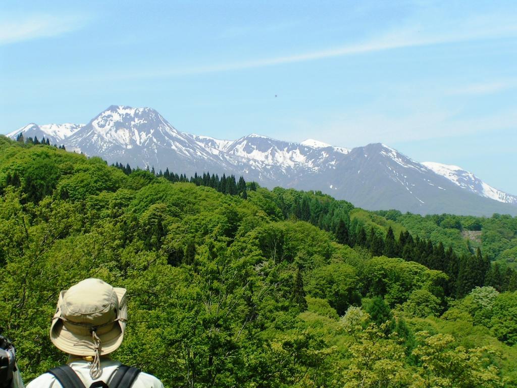 Madarao Elm Pension Iiyama Esterno foto